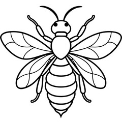 bee on white background