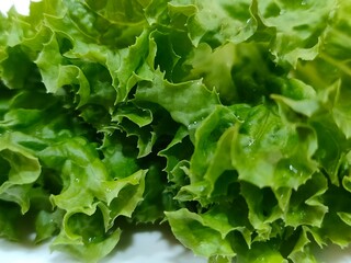 Macro close-up of fresh green lettuce leaves with visible texture and water droplets, showcasing natural freshness and crisp detail