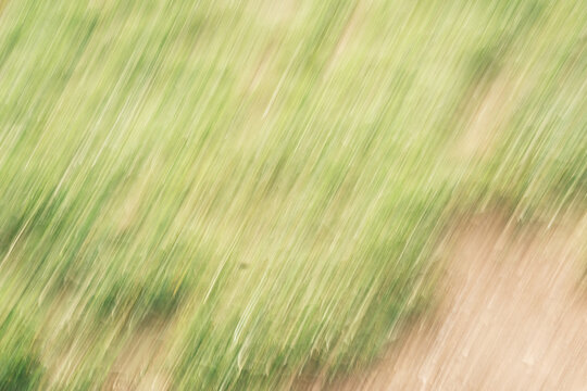The image is a blurry green field with grass