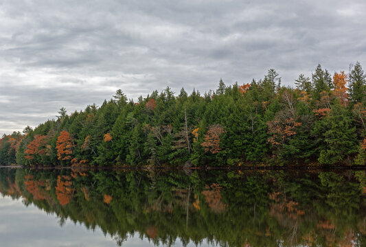 View of the distant shoreline of the Kennebec River in Skowhegan Maine in the fall.