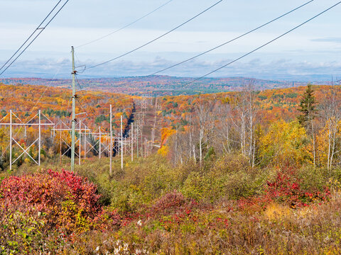 Transmission lines through rural Maine in the fall.