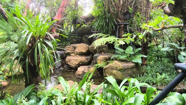flowing water stream cascade near plant leaves in garden. Waterfall in park