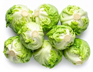 Top view of iceberg lettuces placed close together on a clean white background, showing fresh texture and crisp green color without shadows.