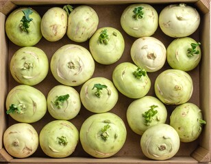 Top view of kohlrabi tightly arranged on a tray, emphasizing natural texture, fresh green tones, and simple organic food presentation.