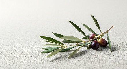 A close up of an olive branch with green leaves and ripe olives on a textured light gray surface