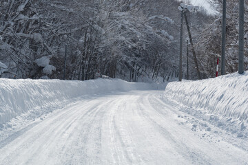 Fototapeta premium 冬の北海道、雪に覆われた美しい林道