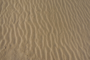 detail of sand in the beach of el Trabucador in the Ebro River Delta Natural Park,Tarragona province, Catalonia, Spain