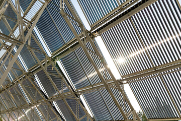 A low-angle view looking up at a large installation of evacuated tube solar water heater collectors. The bright sun flares through the panels, highlighting the metal support structure.