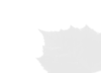 Jagged Maple Leaf Shadow Overlay