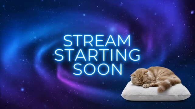 Cat relaxes on a pillow with glowing stream starting soon text. Animated loop background for waiting, gaming and live video.
