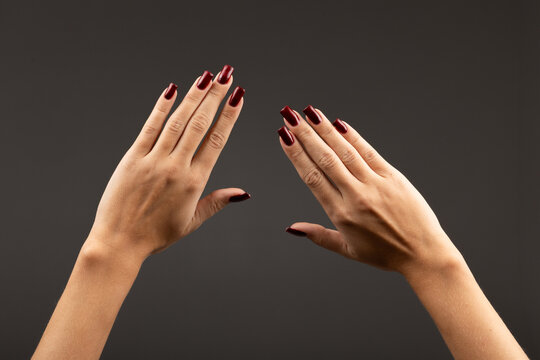 Beautiful manicure. Well-groomed female hands with long nails.