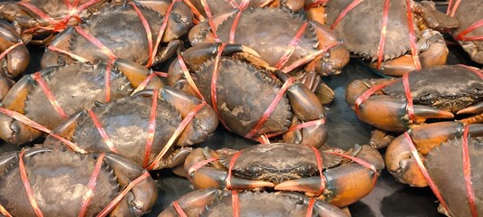 Fresh crabs in a seafood shop