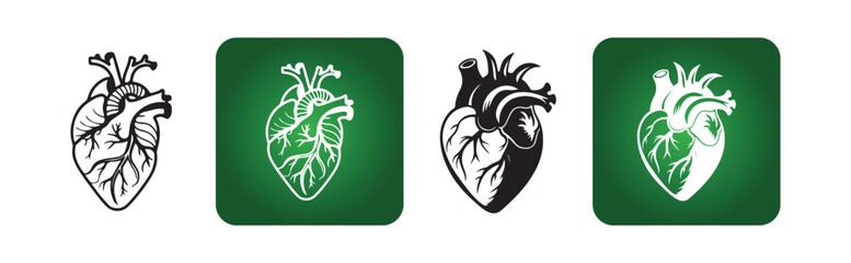 Human Heart Anatomy Icon Set,  Medical Vector Illustration