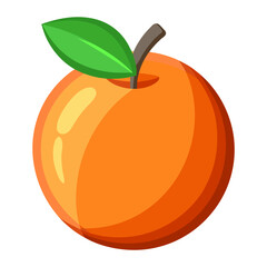 Vibrant Orange Fruit Illustration