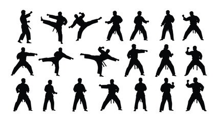 Martial arts karate taekwondo silhouettes isolated on transparent background, Vector