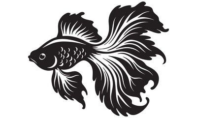 Elegant Betta Fish Silhouette – Ornamental Aquarium Vector .