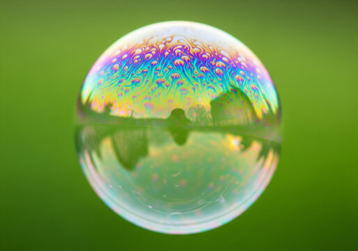 Soap bubble with rainbow colors reflecting nature green background