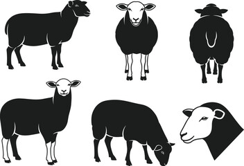 sheep, farm, animal, sketch, vector, livestock, grazing, wool, drawing, nature, rural, mammal, black, white, pose