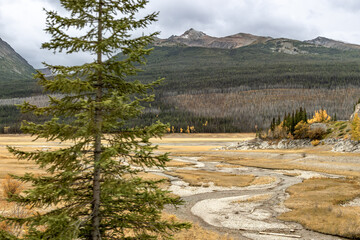 Braided turquoise river in Jasper National Park, Canadian Rockies
