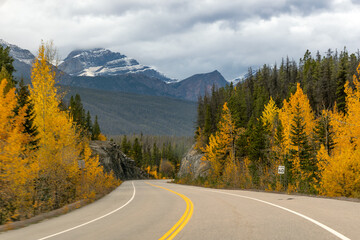 Winding mountain road through autumn forest in Jasper National Park