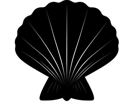 Black silhouette of a scallop shell on a white background