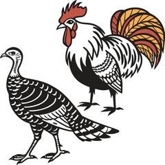 Rooster and turkey hen farm animals vector illustration, poultry wildlife duo