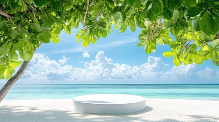 White round podium placed on sandy beach, framed by large tree branch and tropical leaves under bright blue sky