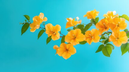Yellow bougainvillea branch isolated on vibrant blue backdrop, bold floral pattern ideal for digital or wall use