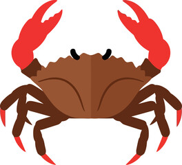 Red claw crab illustration