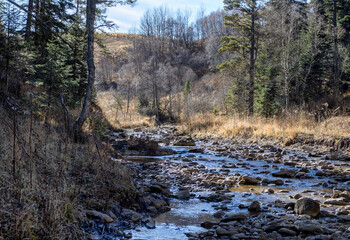 Autumn walks along the banks of a mountain river with clear, cool water in the morning hours with the rising sun