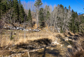 Autumn walks along the banks of a mountain river with clear, cool water in the morning hours with the rising sun