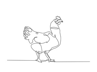 Chicken hen outline draw illustration. Continuous line art drawing of Single Chicken Hen. Editable stroke.