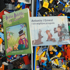 Naklejka premium Children's books on a background of colorful toy blocks