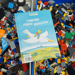 Obraz premium Book cover with a grasshopper riding a seagull over a landscape, among colorful toy blocks