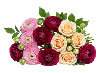 Luxurious floral bouquet with light pink/burgundy ranunculus, pale pink/creamy white roses, green leaves, unopened buds on transparent background, copy space concept of elegance