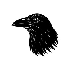 Raven head illustration vector art isolated on white background