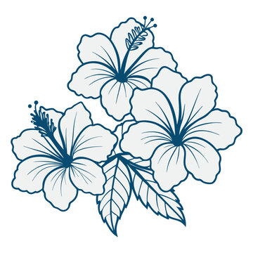 Delicate hand drawn sketch of a cluster of blooming hibiscus flowers with leaves in a simple blue outline style