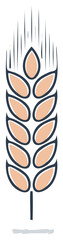 Illustration of a Wheat Ear Plant in Vector Graphic Style