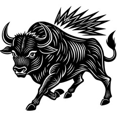 black and white zebra