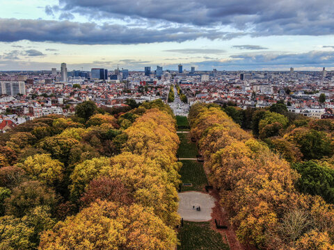 Fototapeta Brussels cityscape view from koekelberg basilica park in autumn
