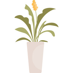 A Tall Potted Houseplant With Long Green Leaves And A Yellow Flower At The Top In A Tall Light Pink Pot On A Transparent Background