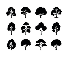 Detailed illustration of an american elm tree in vector format