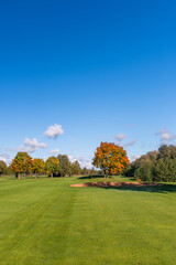 Golf course with autumn trees and sand bunker under blue sky