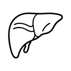 Simple outline drawing of the human liver organ