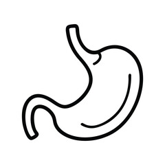 Simple line drawing of a human stomach organ
