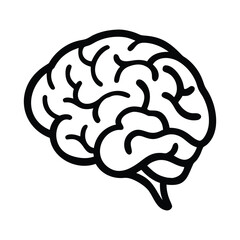 Simple outline drawing of a human brain