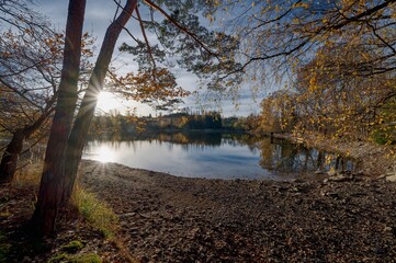 View of Hejlovsk&yacute; Pond, November afternoon, slightly cloudy sky, lower water level before fishing