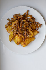 Delicious oven baked potatoes with chanterelle mushrooms served on a white plate. Top down food shot for recipe blogs, cooking magazines, or restaurant menus. Rustic comfort food at its best.