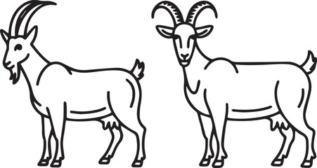 Fototapeta premium Black and white outline drawing of pair of domesticated goats.