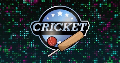 Displaying cricket emblem on pixel matrix canvas, showcasing CRICKET text with stars, bat and ball